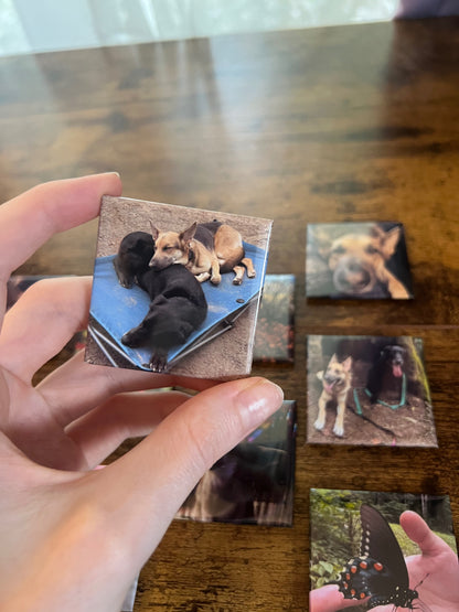 2"x2" Custom Photo Magnets